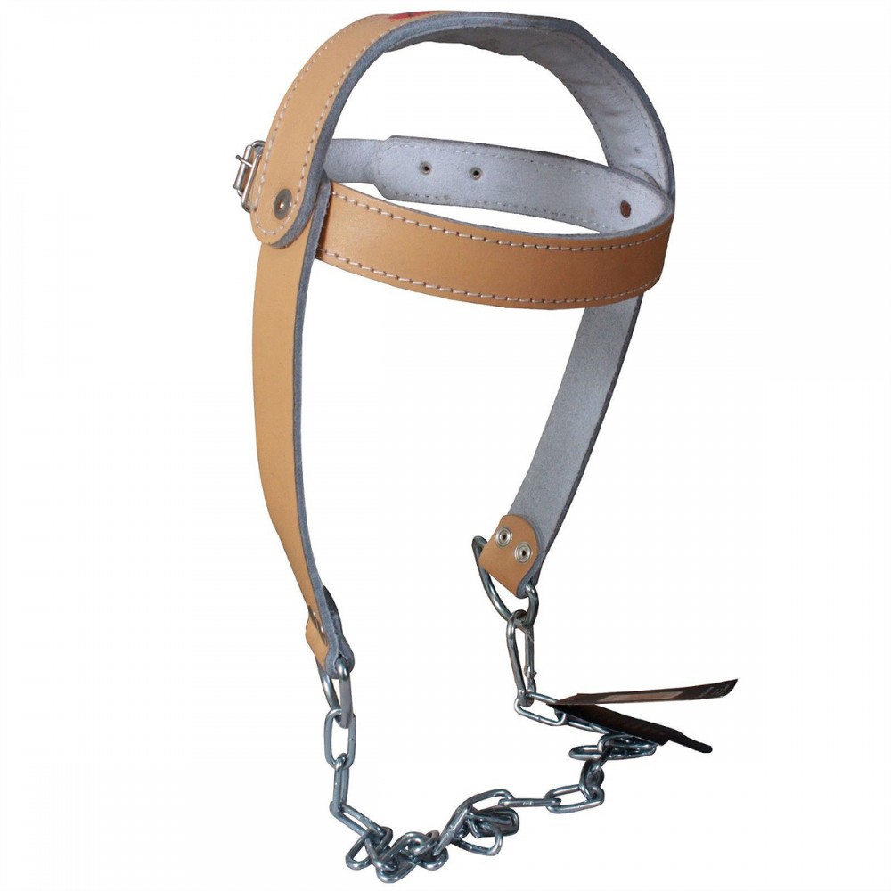 Head Harness