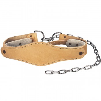 Head Harness